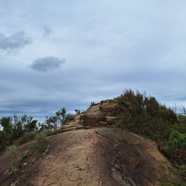 【貓貓自創路線】四獸山+南港山+九五峰+永春坡公園完成!2705815