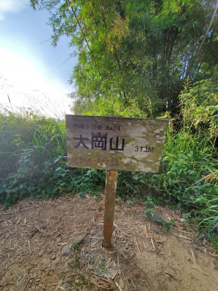 高雄大崗山步道1005904