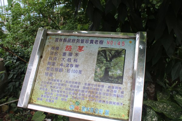 20210417雲林後棟仔山大尖二尖山1358948