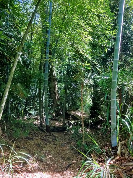 鳳凰山-隆田登山口1760458