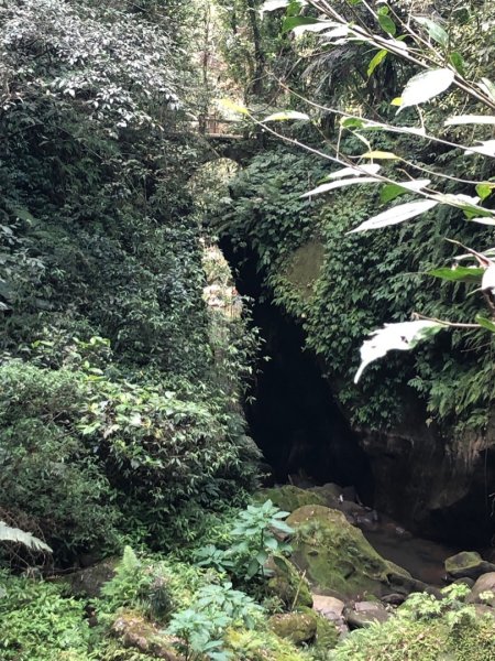 猿山、獅頭山O走1658133