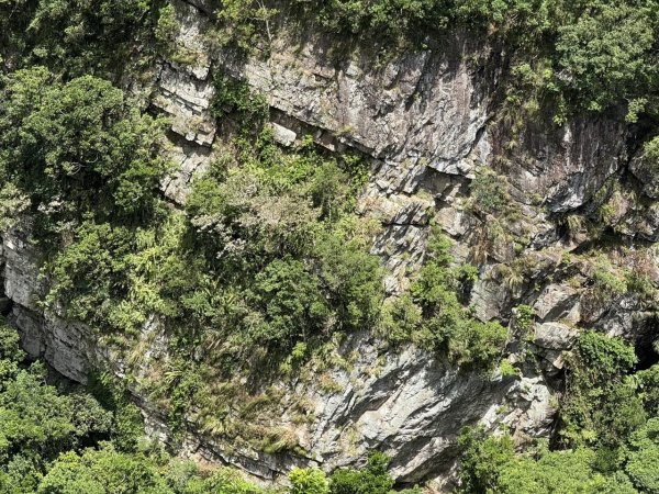 2025/09/15 跑馬古道 鵲子山3041581