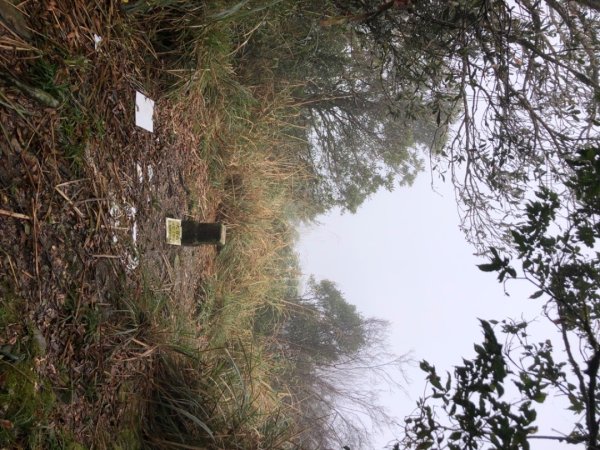 大白山+蘭崁山2695656