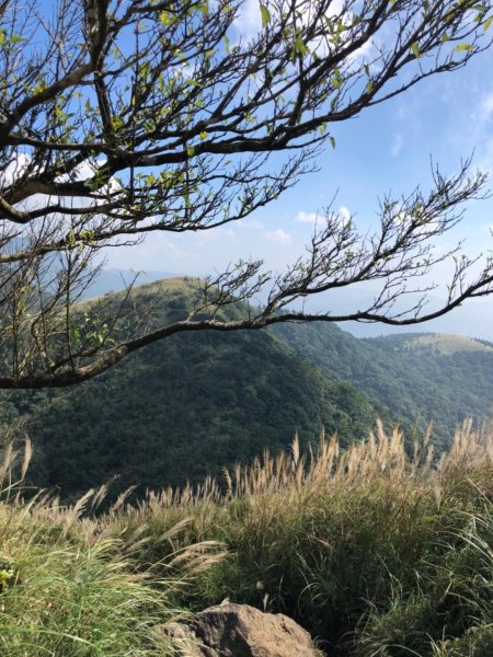 大屯山西峰542116