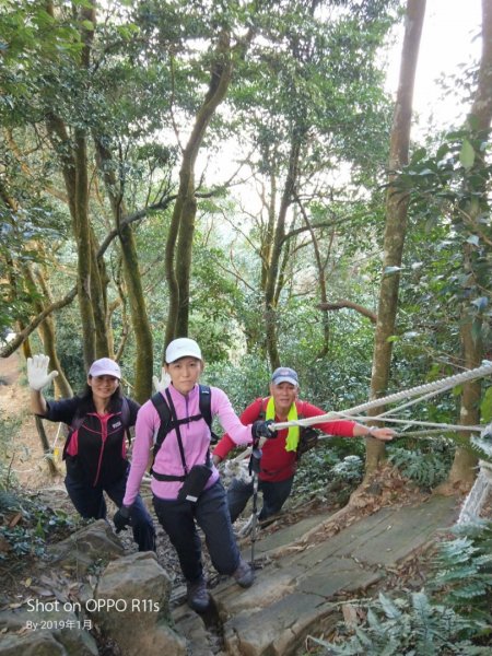 仙山登山步道503224