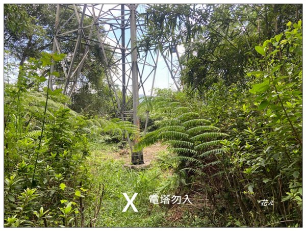 魚池尖山 (魚池富山) 中入右出2828929