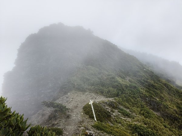 北一段(06/14)巴巴山 2025_0906~132886718
