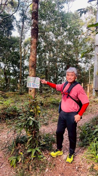 🌈1/11（日）六龜警備道~小百岳~鳴海山×網子山✨FB：熊熊趴爬走🌈2980545