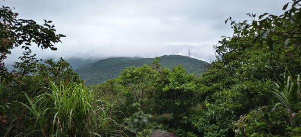 2026/06/13_大崙頭尾親山步道3075154
