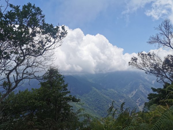 步道巡訪員 l 鳥嘴山步道 8月巡訪日誌1062378