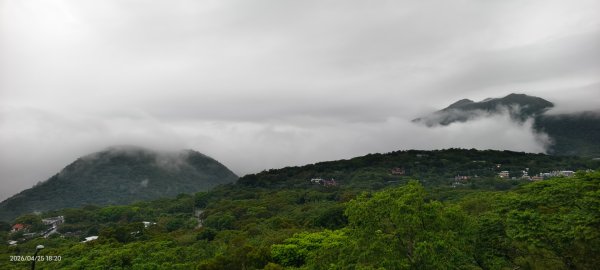 #文化大學 #雲海 #琉璃光 #陽明山秘境 4/253042472