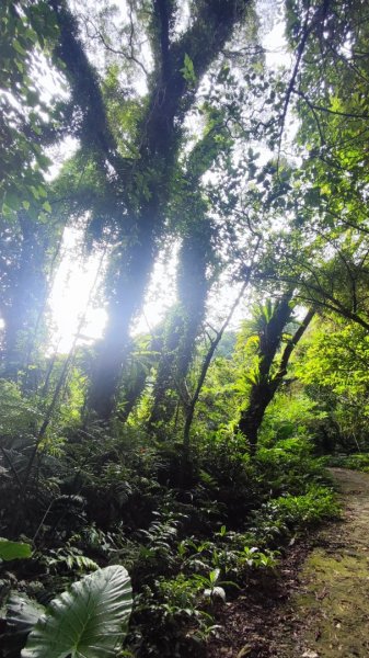 連走溪洲山石門山2582954