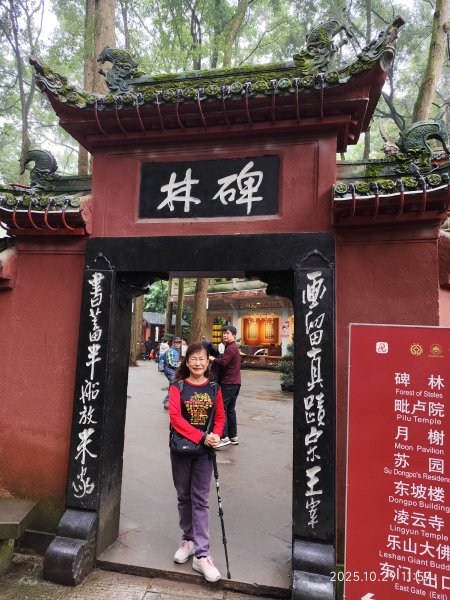 四川樂山大佛景區 (2-2)2939114