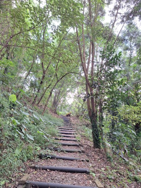 碧雲寺枕頭山O型202410062615758