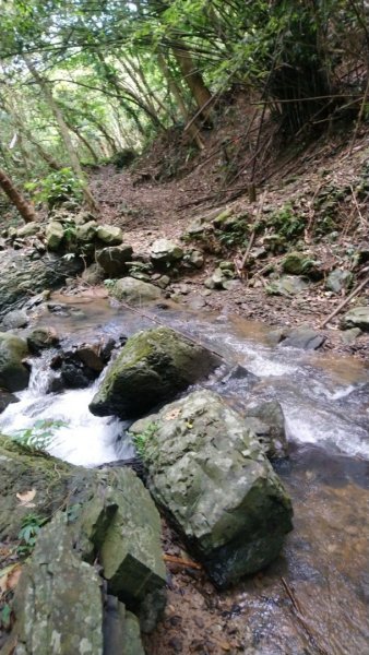 淡蘭古道石空聚落舊址、太和山O走1434086