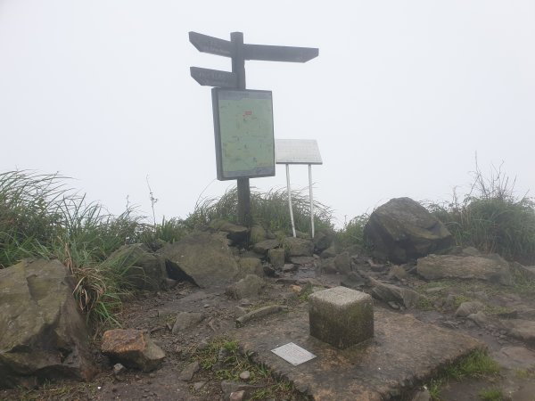 一人獨享但有點可怕的無耳茶壺半屏山燦光寮山1552223