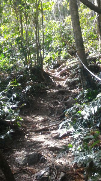 高台山+大中小島田102514