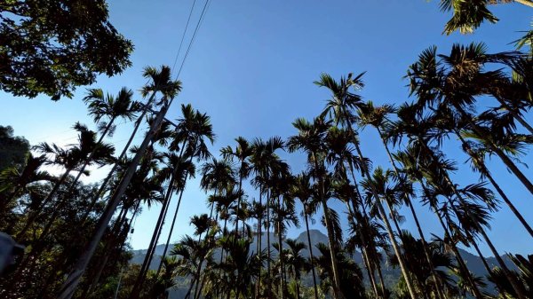 大橫屏山步道2977365