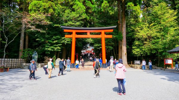 鹿兒島霧島神宮,神水峽3028244