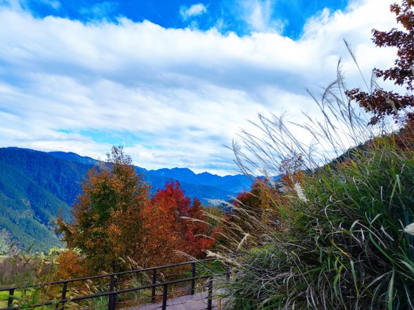 1/1元旦雪主東2681433