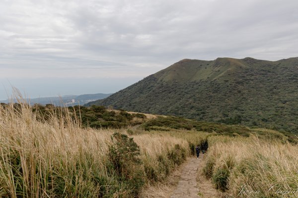 [台北]大屯山2693399
