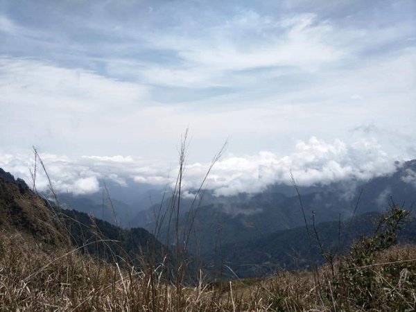 能高越嶺-能高主峰，一日單攻1009838