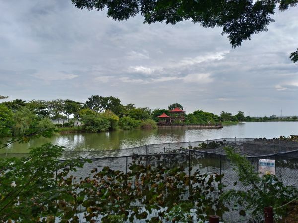 天鵝湖環保水上公園環湖步道405874