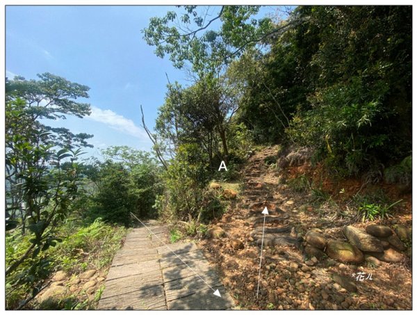 三角山步道 A上B下 (苗栗、三義)3125014