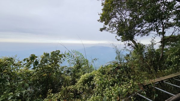 暗影山三進三出2366573