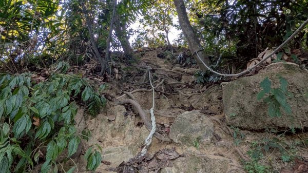 大橫屏山步道2977353