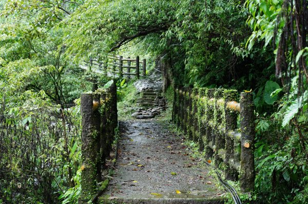 新北 瑞芳 頂子寮山、五分山2615509