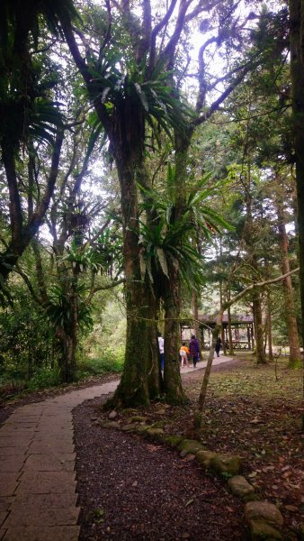 福山植物園1571424