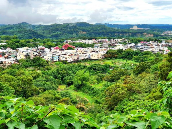 新竹馬胎古道，南坪古道，高峰植物園，青草湖，苗栗虎山，老崎坪頂山，老崎古道，梅后蔓瀑布1846510