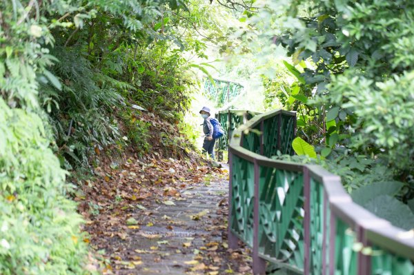 台北大縱走第七段 指南宮千階步道-樟山寺1742845