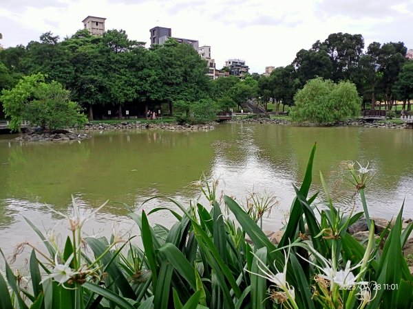 大湖公園、大湖山莊街 2-1【走路趣尋寶】2261305