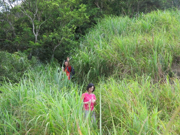 獅仔頭山避暑順遊千島湖秘境53605