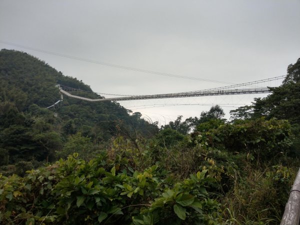 梨子腳山(小百岳#57) & 太平雲梯 (2021/1/29)1423209