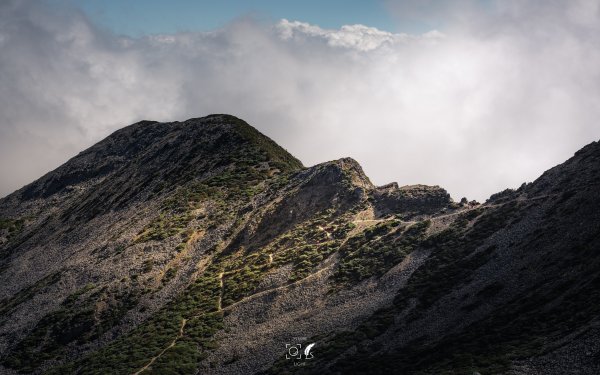 心映雪翠｜Mt.Xue｜Taiwan 785815