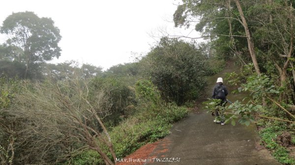 《苗栗》台鐵舊山線｜三義勝興鐵道覓境及挑柴古道O繞202501192693578