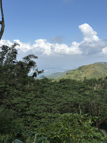 20250830台南關仔嶺大凍山步道2914687