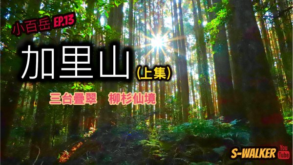 S小百岳｜苗栗｜加里山(上集)｜三台疊翠柳杉仙境｜南庄鄉