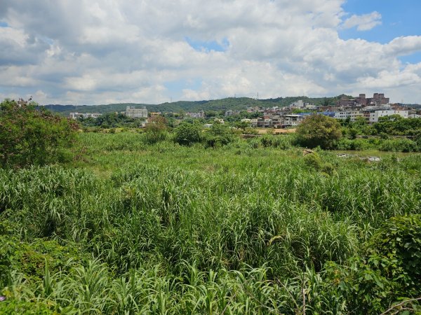 渡南古道+飛鳳古道 - 2024森遊竹縣皮皮獅Hike客任務2555022