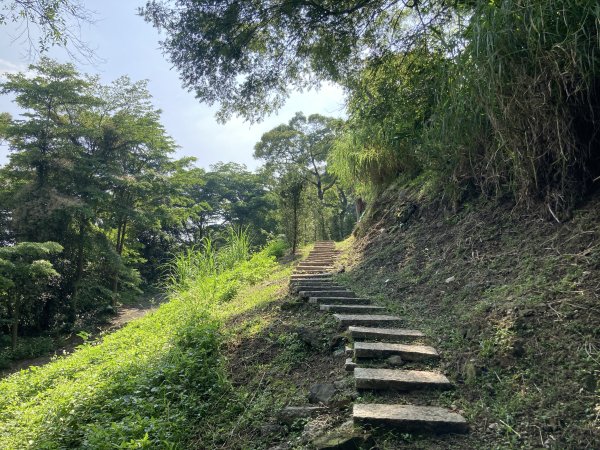 大棟山登山步道2496077