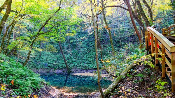 秋田縣白神山地十二湖2929774