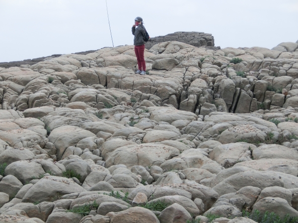 龍洞灣岬步道．龍洞攀岩場92460