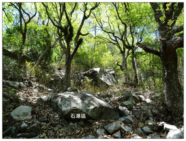 東卯山、東卯山西峰、東卯山西南峰 連走2932810