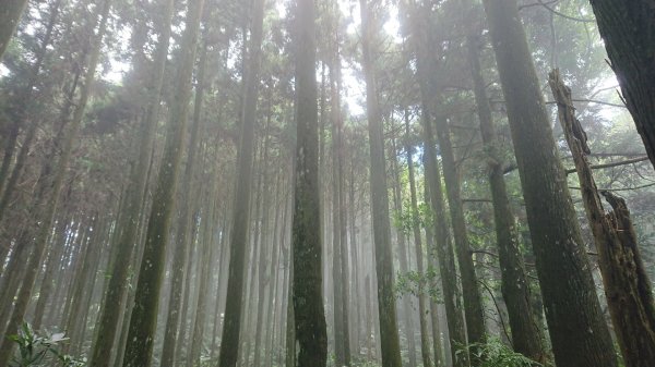 滿滿仙氣的向天湖山1107064