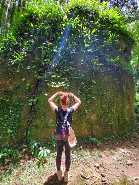 【嘉義|大凍山】多林-頂湖走1010192