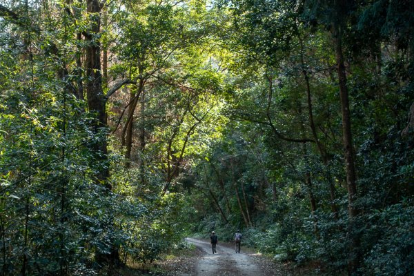 2025-02-07 北港溪峽谷步道2708297