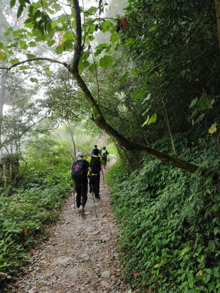 北大武山之檜谷🌲🌲森林漫遊😍😍1779549